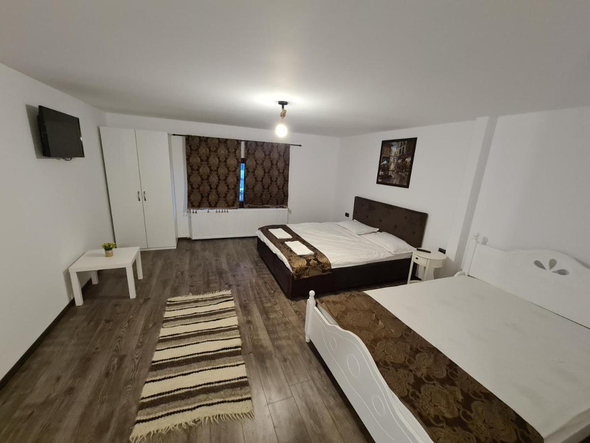 Vila Sia Hotel Râmnicu Vâlcea Kültér fotó